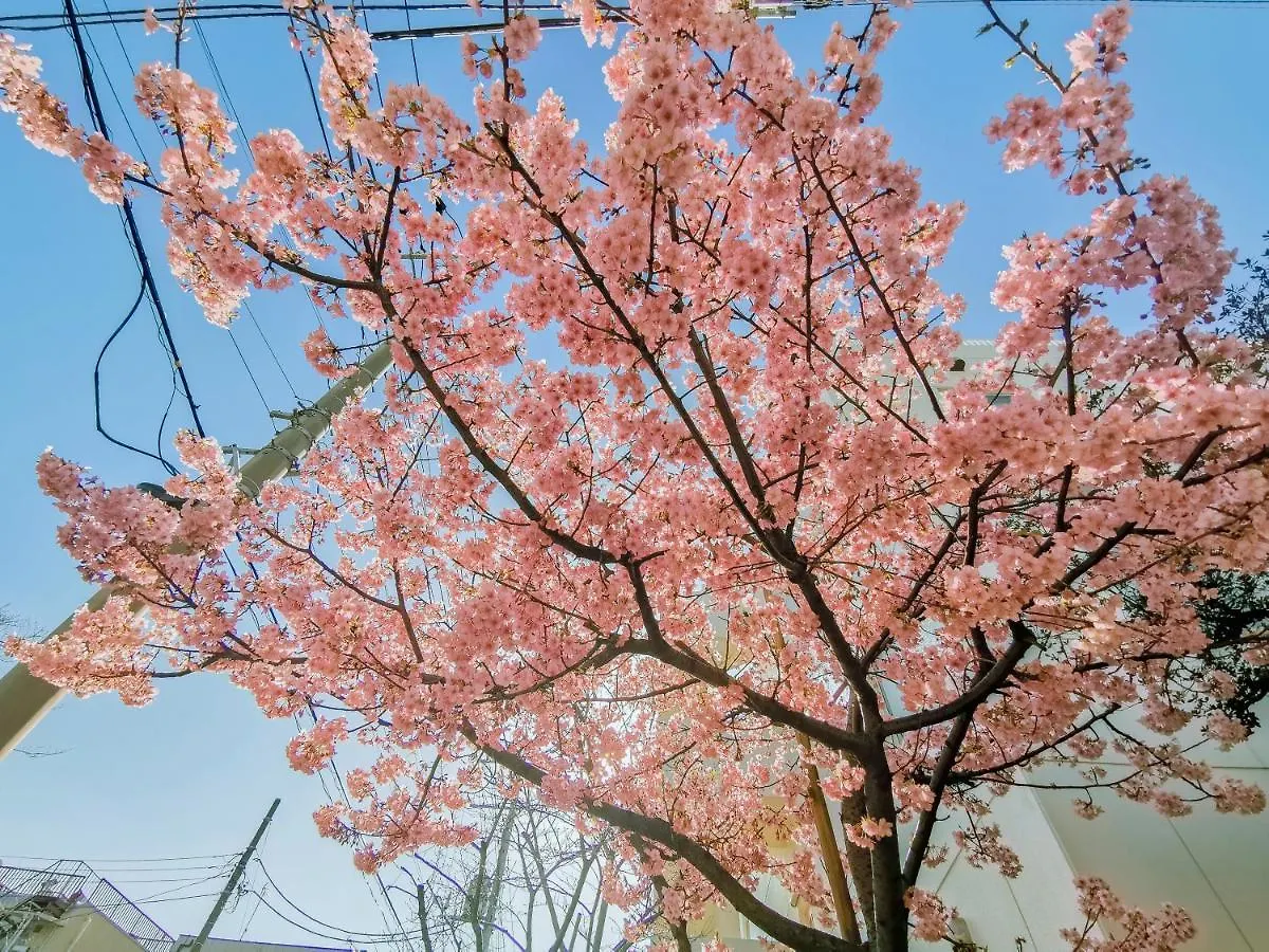 Sky House Bnb Tokyo Japan